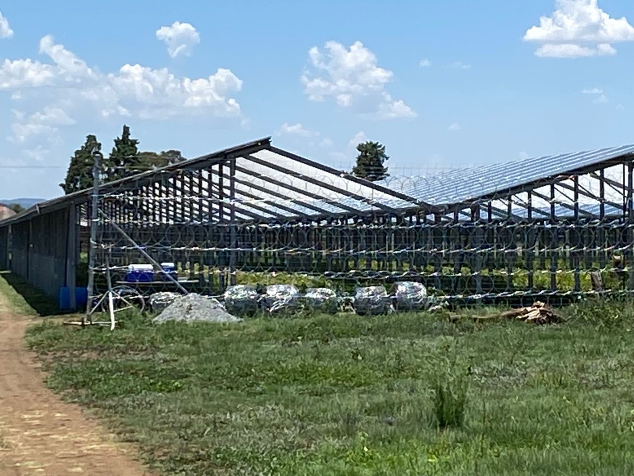 Agri-Photovoltaik Anlage